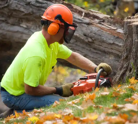 tree services Aztec